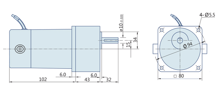 20 Watt : DC Geared Motor