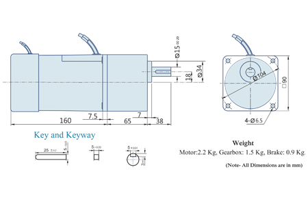 40 Watt : AC Geared Motor With Lead Wires