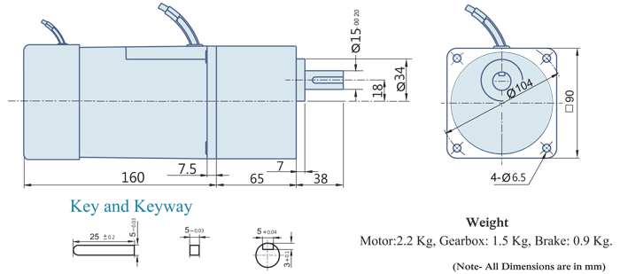 40 Watt : AC Geared Motor With Lead Wire