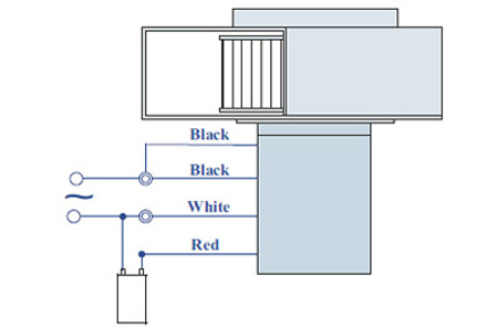 Standard Single Phase Motor