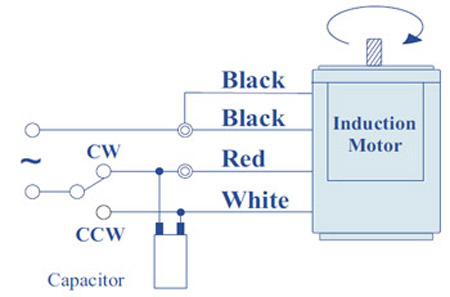 Standard Single Phase Motor